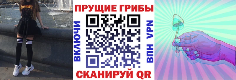 Галлюциногенные грибы прущие грибы  купить закладку  Первомайск 